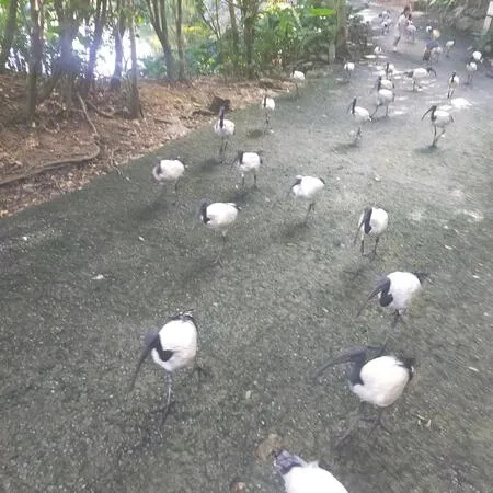 何度か沖縄を訪れていましたが、今回...
