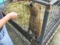 何度か沖縄を訪れていましたが、今回...