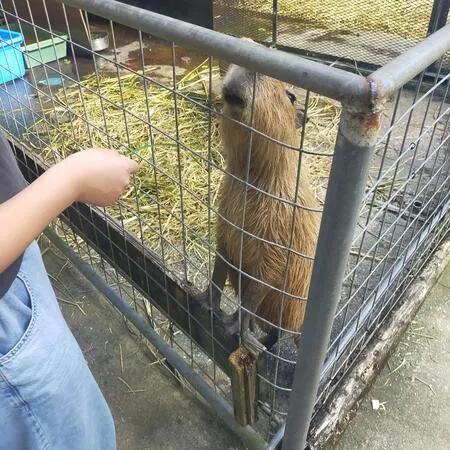 何度か沖縄を訪れていましたが、今回...