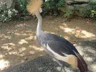 何度か沖縄を訪れていましたが、今回...