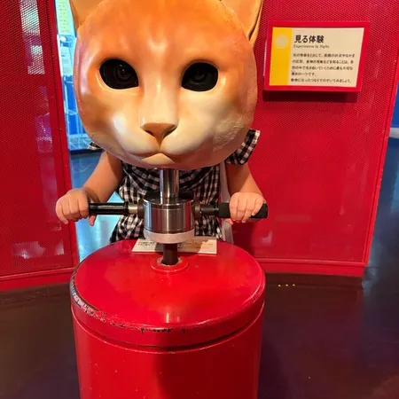 かなり大きな博物館です。
