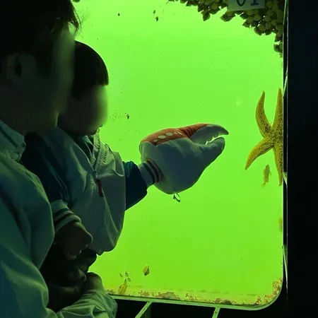 ⭐︎360度海！海のなかの展望台＆...