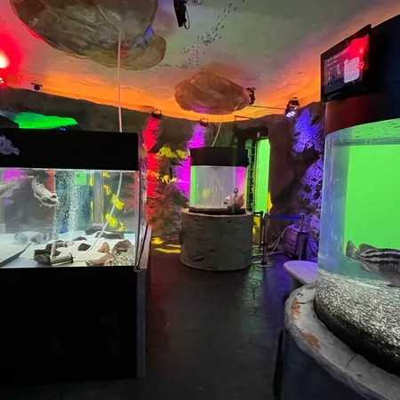 ⭐︎360度海！海のなかの展望台＆...