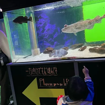 ⭐︎360度海！海のなかの展望台＆...