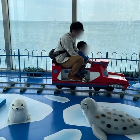 ⭐︎360度海！海のなかの展望台＆...