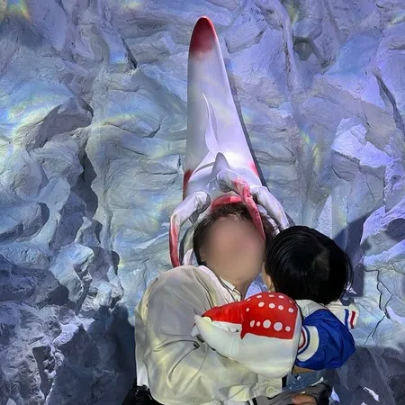 ⭐︎360度海！海のなかの展望台＆...