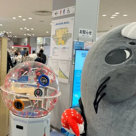 ⭐︎360度海！海のなかの展望台＆...