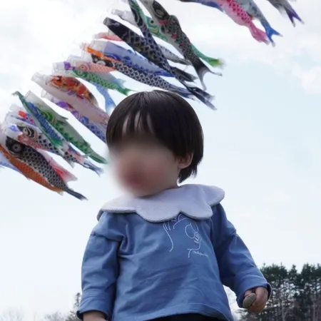 ⭐️たくさんの鯉のぼりが見られるス...