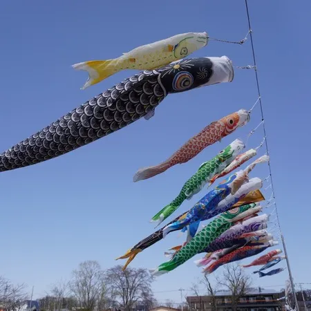 ⭐️たくさんの鯉のぼりが見られるス...
