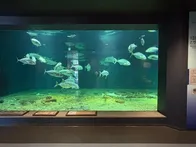 ２度目の来館です。アドベンチャーワ...