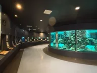 ２度目の来館です。アドベンチャーワ...