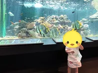 ２度目の来館です。アドベンチャーワ...