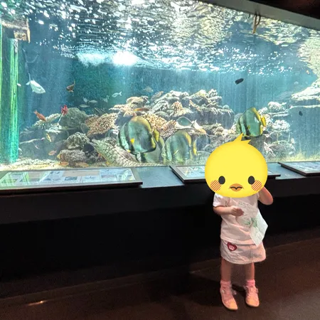 ２度目の来館です。アドベンチャーワ...