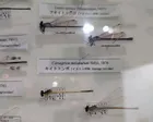 2階の展示では魚がいる水槽があった...