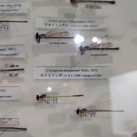 2階の展示では魚がいる水槽があった...