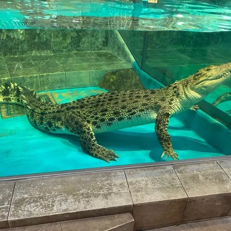 子どもの目線の水族館！