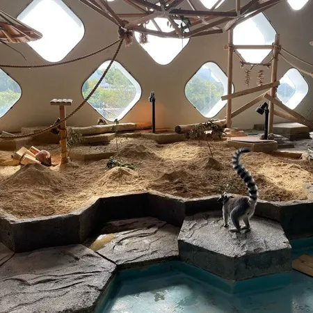 子どもの目線の水族館！