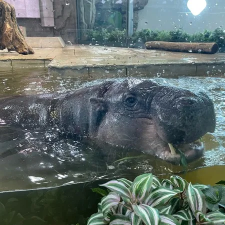 子どもの目線の水族館！
