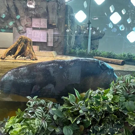 子どもの目線の水族館！