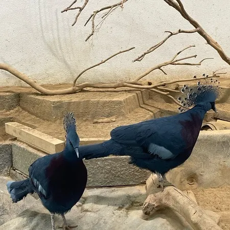子どもの目線の水族館！