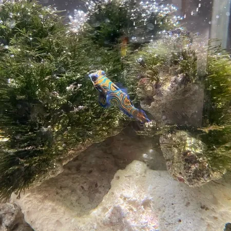 子どもの目線の水族館！