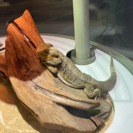 子どもの目線の水族館！