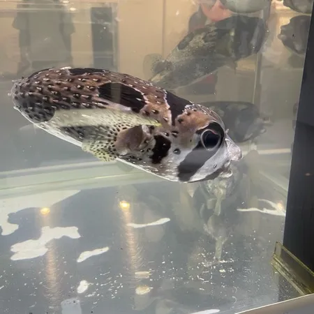 子どもの目線の水族館！