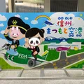 松本空港からFDAを使って九州旅行...