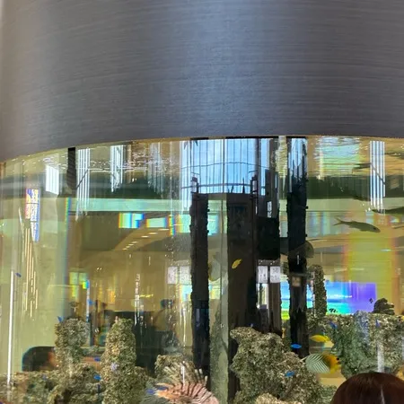 オシャレなお店もたくさんあり、水槽...
