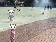 広いし、日陰もいっぱいあるし、トイ...