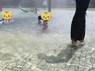 広いし、日陰もいっぱいあるし、トイ...
