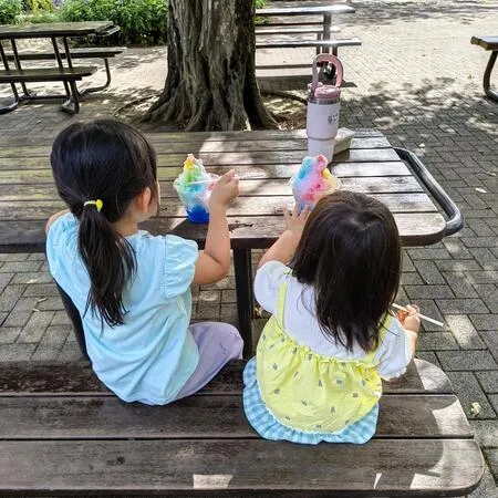 広いし、日陰もいっぱいあるし、トイ...