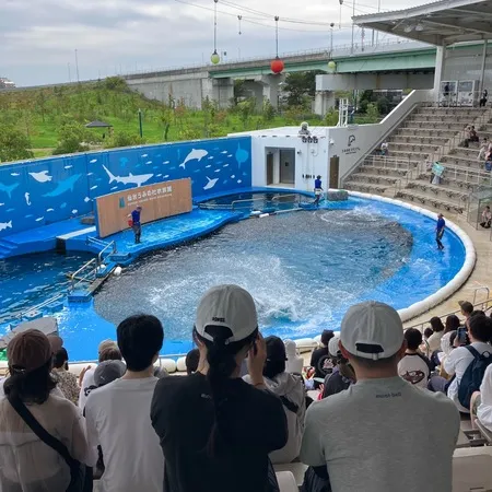 平日の午後に行きました。そこそこ賑...