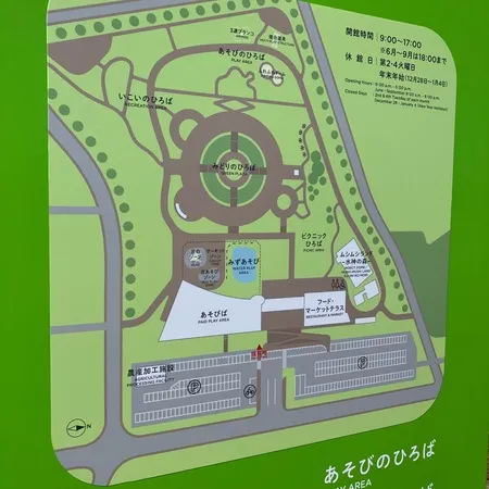 平日の朝一に行きました。