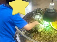 金魚ミュージアムとともに、とても楽...