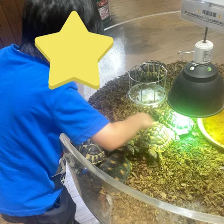 金魚ミュージアムとともに、とても楽...