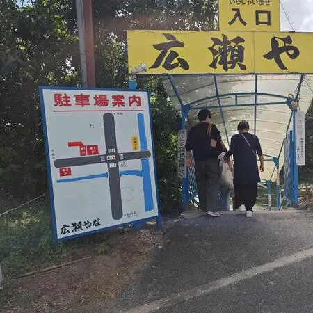 今年もやなに行ってきました。