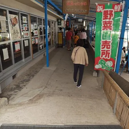 今年もやなに行ってきました。