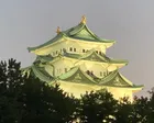 🏯✨ 夜の名古屋城を見に行ってきました！