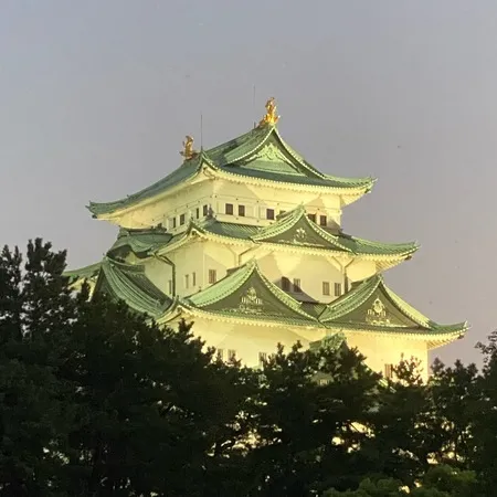 🏯✨ 夜の名古屋城を見に行ってきました！