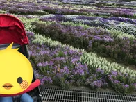 スカイパークはとっても広く場所によ...