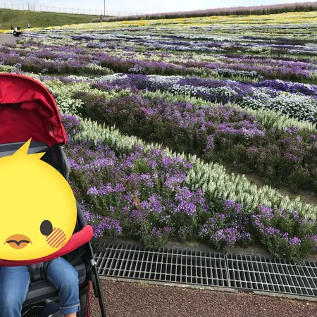 スカイパークはとっても広く場所によ...