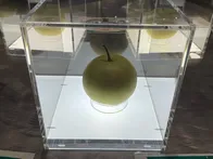 梨づくしの博物館！