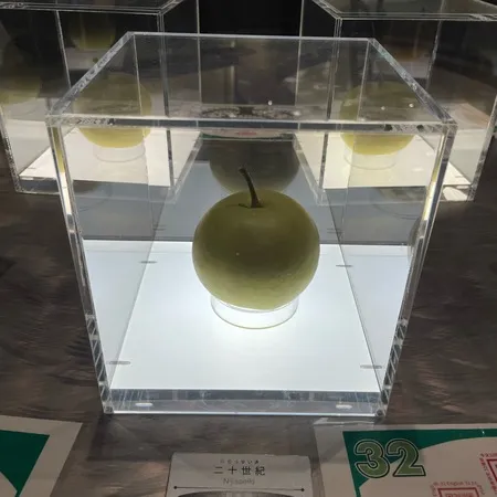 梨づくしの博物館！