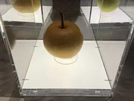 梨づくしの博物館！