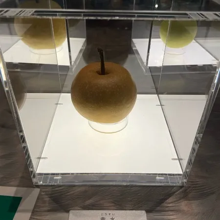 梨づくしの博物館！