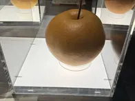 梨づくしの博物館！