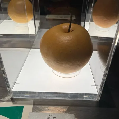 梨づくしの博物館！