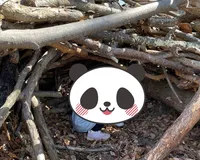 【ユーザ投稿】 大きな滑り台、アスレチックなど遊具...
