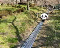 【ユーザ投稿】 大きな滑り台、アスレチックなど遊具...